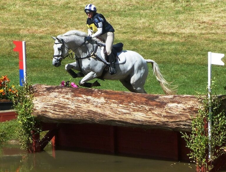 Elektrolyte für Pferde sind eine sinnvolle Ergänzung für gute Leistungen.